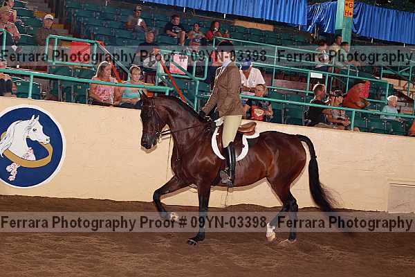 Proof 09yn-03398