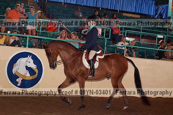 Proof 09yn-03401