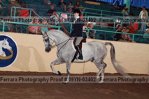 Proof 09yn-03402