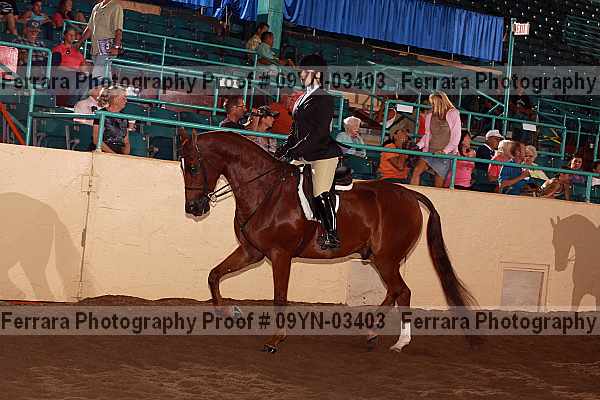 Proof 09yn-03403
