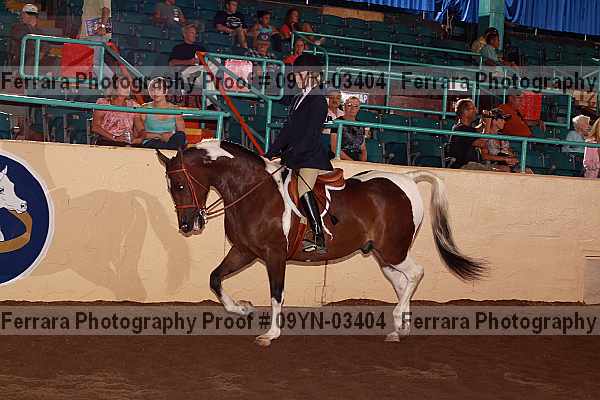 Proof 09yn-03404