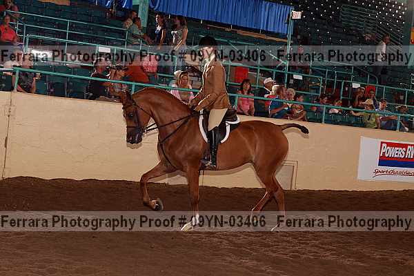 Proof 09yn-03406