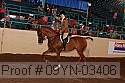 09yn-03406 proof