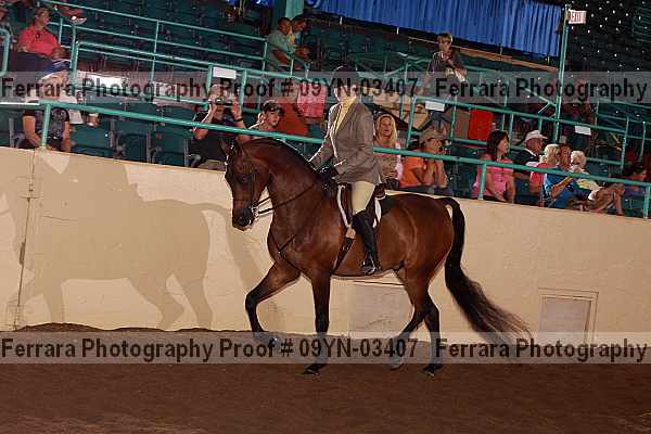 Proof 09yn-03407