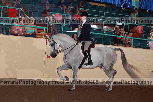 Proof 09yn-03409
