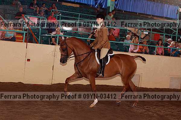 Proof 09yn-03412