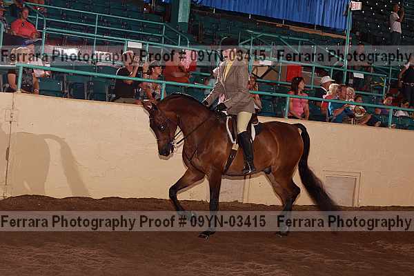 Proof 09yn-03415