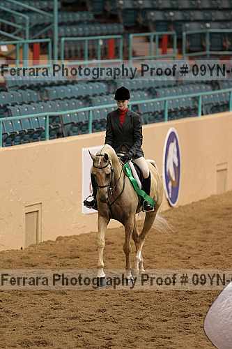 Proof 09yn-03417