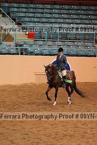 Proof 09yn-03424