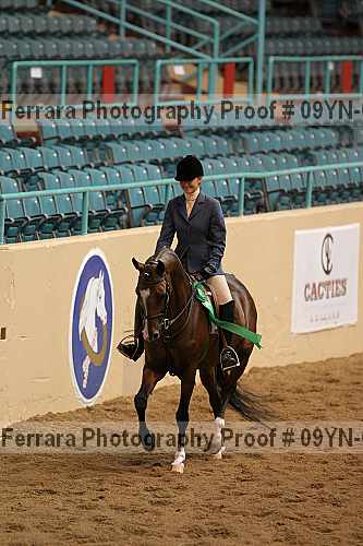Proof 09yn-03425
