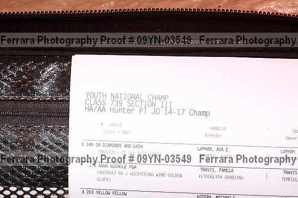 Proof 09yn-03549