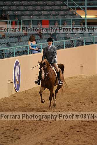 Proof 09yn-03550