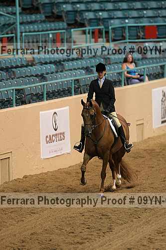 Proof 09yn-03552