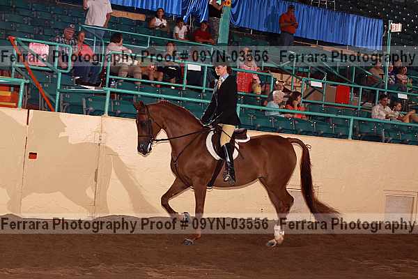Proof 09yn-03556
