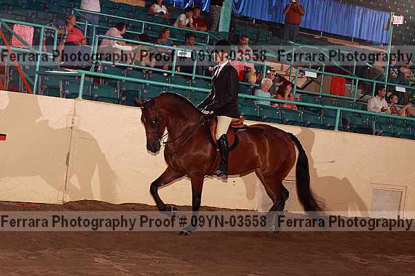 Proof 09yn-03558