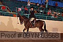 09yn-03568 proof