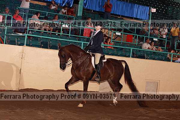 Proof 09yn-03573