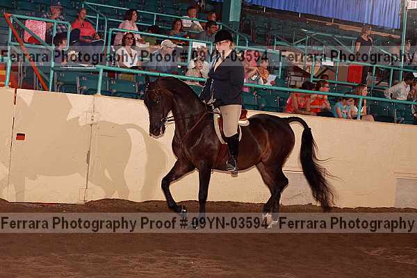 Proof 09yn-03594