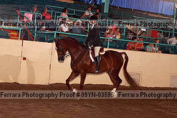 Proof 09yn-03596