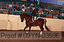 09yn-03596 proof