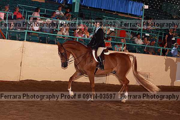 Proof 09yn-03597