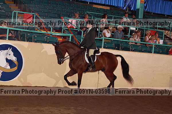 Proof 09yn-03598