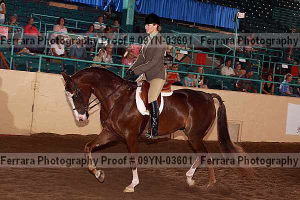 Proof 09yn-03601