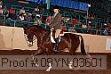09yn-03601 proof