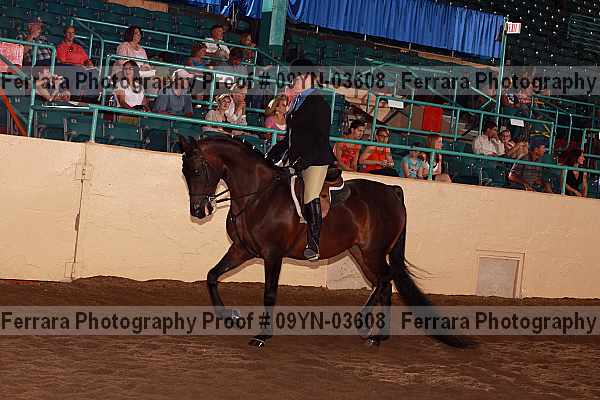 Proof 09yn-03608