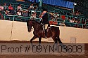09yn-03608 proof