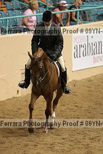 Proof 09yn-03609