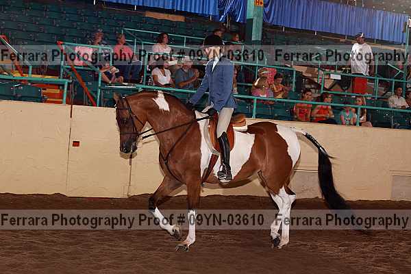 Proof 09yn-03610