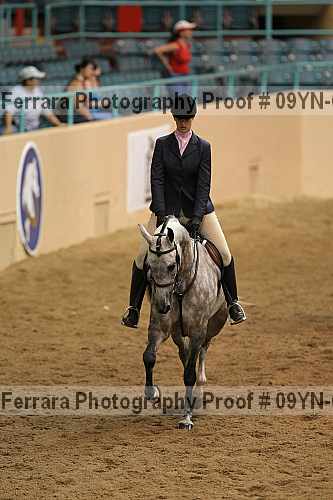 Proof 09yn-03615