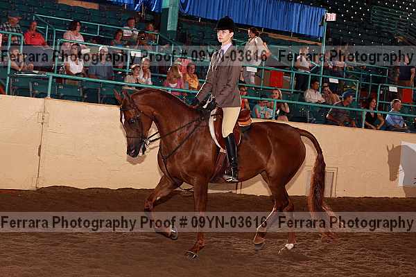 Proof 09yn-03616