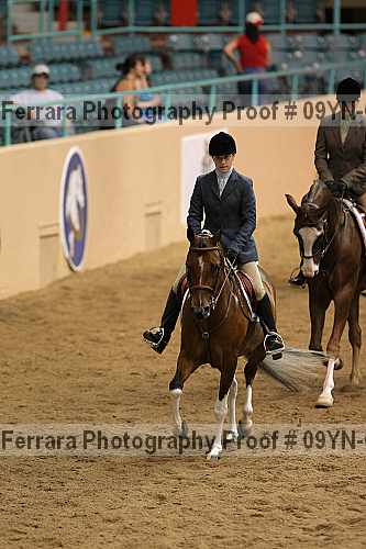 Proof 09yn-03619