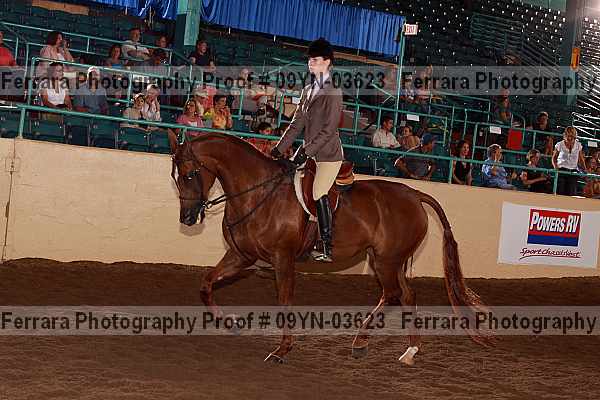 Proof 09yn-03623