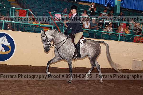 Proof 09yn-03625
