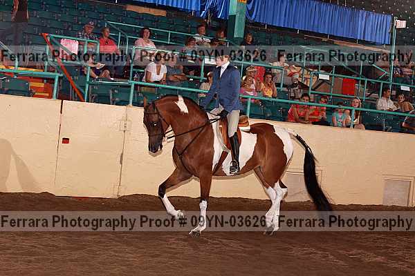 Proof 09yn-03626