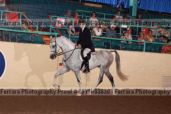 Proof 09yn-03630