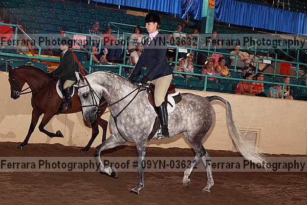 Proof 09yn-03632