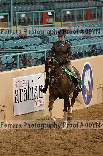 Proof 09yn-03640