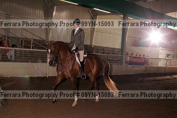 Proof 09yn-15093