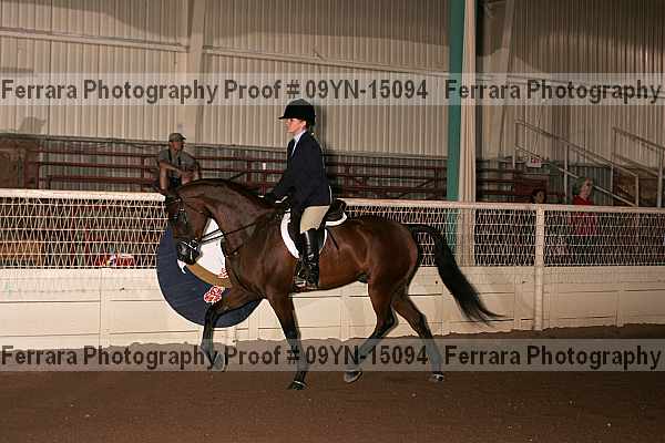Proof 09yn-15094