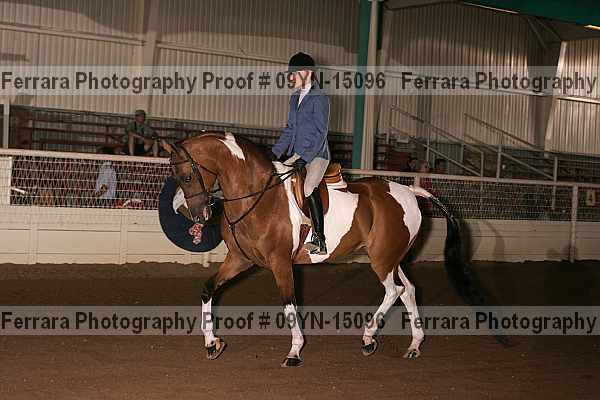 Proof 09yn-15096