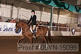 09yn-15099 proof