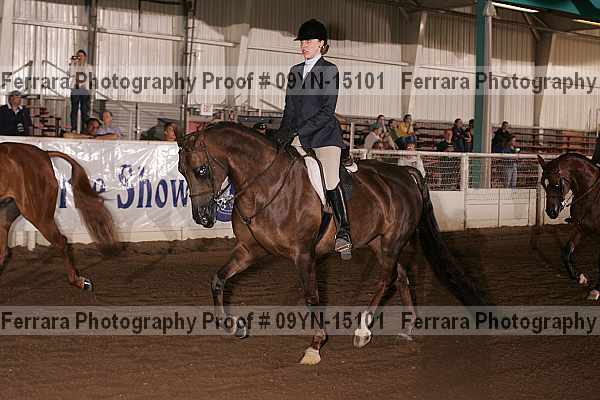 Proof 09yn-15101