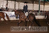 09yn-15101 proof