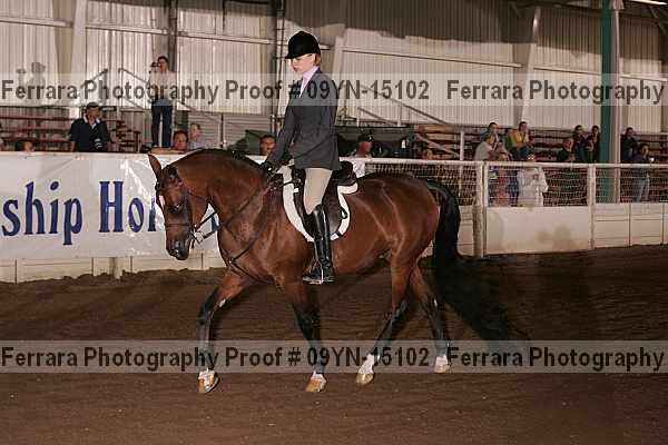 Proof 09yn-15102