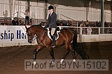 09yn-15102 proof