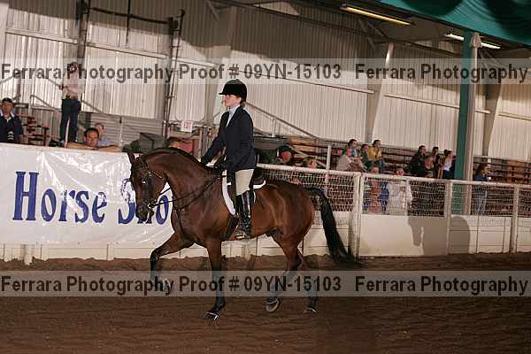 Proof 09yn-15103